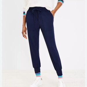 Ann Taylor Dark Blue Jogger Pants